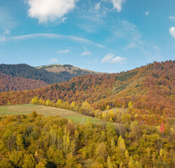 Wall Mural - autumn morning carpathian mountains calm picturesque scene, ukraine. peaceful traveling, seasonal, n