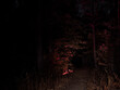 Dark passage in the forest illuminated with red light captured in Helsinki central parkl