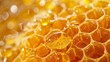 Close Up of Dewy Honeycomb