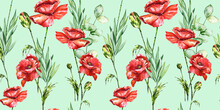 Red Wild Flowers Poppies Seamless Watercolor Pattern Textile Design, Wrapping Paper, Floral, Leaves