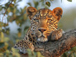 Leopard (Panthera pardus) in natural environment on a tree in Africa, AI generated