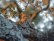 Leopard (Panthera pardus) in natural environment on a tree in Africa, AI generated