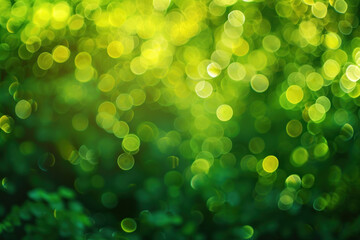 Poster - Abstract Green bokeh defocus glitter blur Background for ST Patrick's day celebration design background