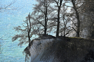 Wall Mural - Famous white cliffs in Jasmund National Park