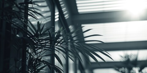 Poster - A black and white photo of a plant placed in front of a window. Suitable for various uses