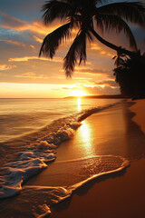 Wall Mural - Tropical beach at sunset