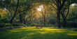 Park bench in the morning light with trees and flowers in the foreground.Sunset in the park with bench and green grass in the foreground