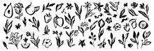 Doodle Ink Floral Sketch Set, Vector Flower Brushstroke Collection, Hand Drawn Organic Icon Kit. Abstract Naive Botanical Outline Modern Spring Decoration Design Element. Doodle Floral Texture Clipart