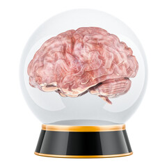 Crystal ball with human brain inside. 3D rendering isolated on transparent background