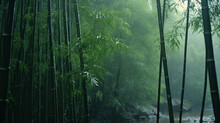 A Group Of Bamboo Trees Next To A River