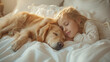 dolce bambino che dorme abbracciato al suo cane tra le candide coperte bianche del suo letto