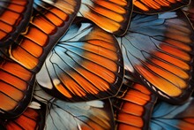 A vibrant cluster of orange and blue butterflies peacefully assembled on a colorful flower, Macro view of butterfly wing patterns, AI Generated