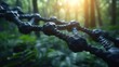 a close up of a rope in a forest with the sun shining through the trees in the backround.