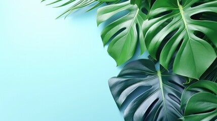 green leaves of palm tree