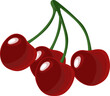 Cherries isolated on white background. Vector cherries close up