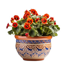 Wall Mural - spring flower in a pot