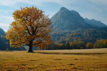 Panoramic Landscape At Autumn With Tree And Mountain