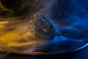 Wall Mural - Dragon's skull in a bowl of magic liquid. Colored smoke moves beautifully against on a dark background. Fortune teller, mind power, prediction, halloween concept.