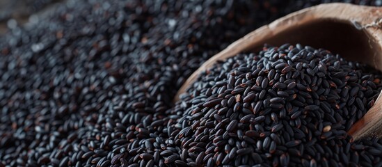 Wall Mural - Ear of Black Rice: A Snapshot of Ear, Black, and Rice