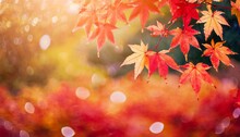 Web Banner Design For Autumn Season And End Year Activity With Red And Yellow Maple Leaves With Soft Focus Light And Bokeh Background