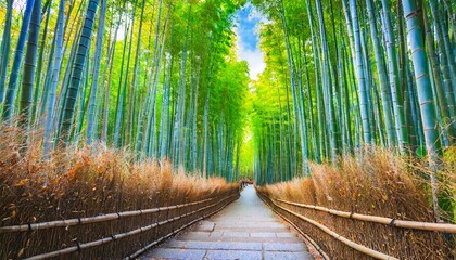 Wall Mural - bamboo groves bamboo forest in arashiyama kyoto japan