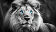 lion in black and white with blue eyes