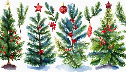 Wall Mural - set christmas tree on white background pine fir branches