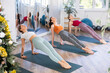Concentrated women during yoga class with group in fitness studio decorated with Christmas tree