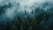 Aerial perspective captures fog shrouding dark pine forest trees, an ethereal landscape, Ai Generated