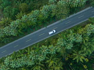 Wall Mural - Aerial  view of driving on trail in spring tropical forest