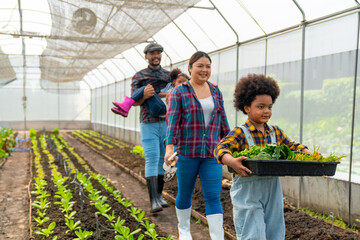 Happy African farmer family on agriculture farm growing organic vegetable together in greenhouse garden. Parents and little child kid working nature and gardening healthy food for sustainable living.