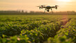 Um drone agrícola equipado com tecnologia de  I A monitorando a saúde das plantações e fornecendo dados em tempo real para a agricultura de precisão e otimização do rendimento