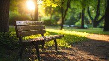 Quiet And Serene Park Bench Bathed In Soft Sunlight Streaming Through Nearby Trees