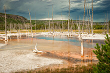 Grand Prismatic Hot Spring Landscape Environment With Dead Trees And Dark Storm Clouds On The Horizon Of Yellowstone National Park Wyoming, USA