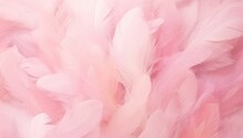 Beautiful Soft Pink Feathers Texture Background. Swan Feather