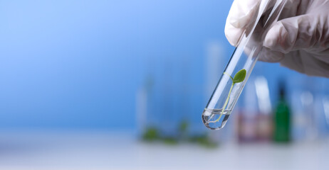 Hand in glove holding test tube with plant in laboratory