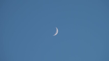Wall Mural - crescent moon on a clear blue sky.