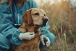 Caring pet owner treats loyal dog with medicine outdoors. love and care for animals. autumn wellness routine for pets. AI