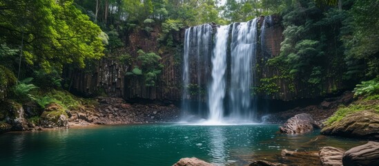Wall Mural - Cedar Creek Waterfall: The Majestic Natural Wonder of Mount Tambourine, Queensland