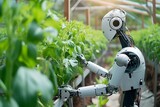 Fototapeta Uliczki - smart robotic farmer working in the vegetable garden