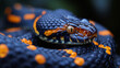 Deadly snake looking into the camera. Exotic snake look at you. Snake eyes. Reptile predator. Aggressive snake face close up. Beautiful abstract wallpaper