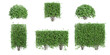 set of Garden privet trees on transparent background, 3D rendering