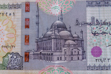 Wall Mural - Closeup of egyptian twenty pounds banknote