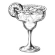 Vector engraved style illustration for posters, decoration and print. Hand drawn sketch of cocktail with ice cubes and slice of lemon, monochrome isolated on background. Detailed vintage woodcut style