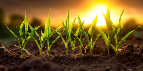 Wall Mural - a close up of a plant growing in dirt with the sun in the background and a field of grass, generative ai