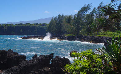 Wall Mural - Keanae Peninsula, Hana Highway, Island of Maui, Hawaii, United States