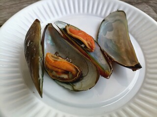 Canvas Print - Fresh raw mussels clams seafood