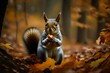 Share a recipe inspired by autumn ingredients that squirrels might forage for, creating a fun and educational culinary experience.