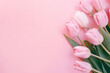 Beautiful pink tulip flowers on pastel pink background with copy space