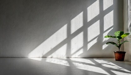 Canvas Print - shadow on white concrete wall in the room from window with morning light